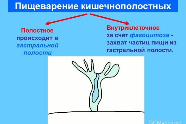 Кракен современный даркнет маркетплейс