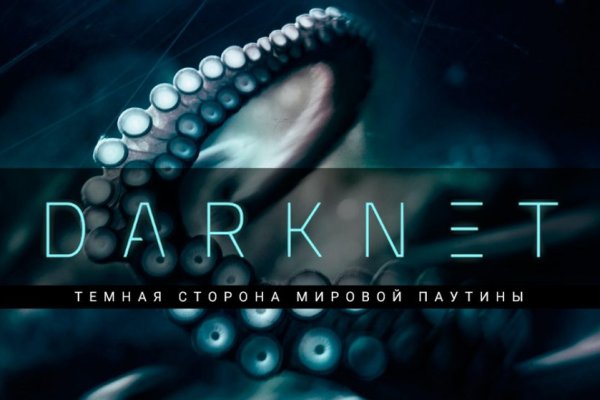 Как вывести деньги с кракена